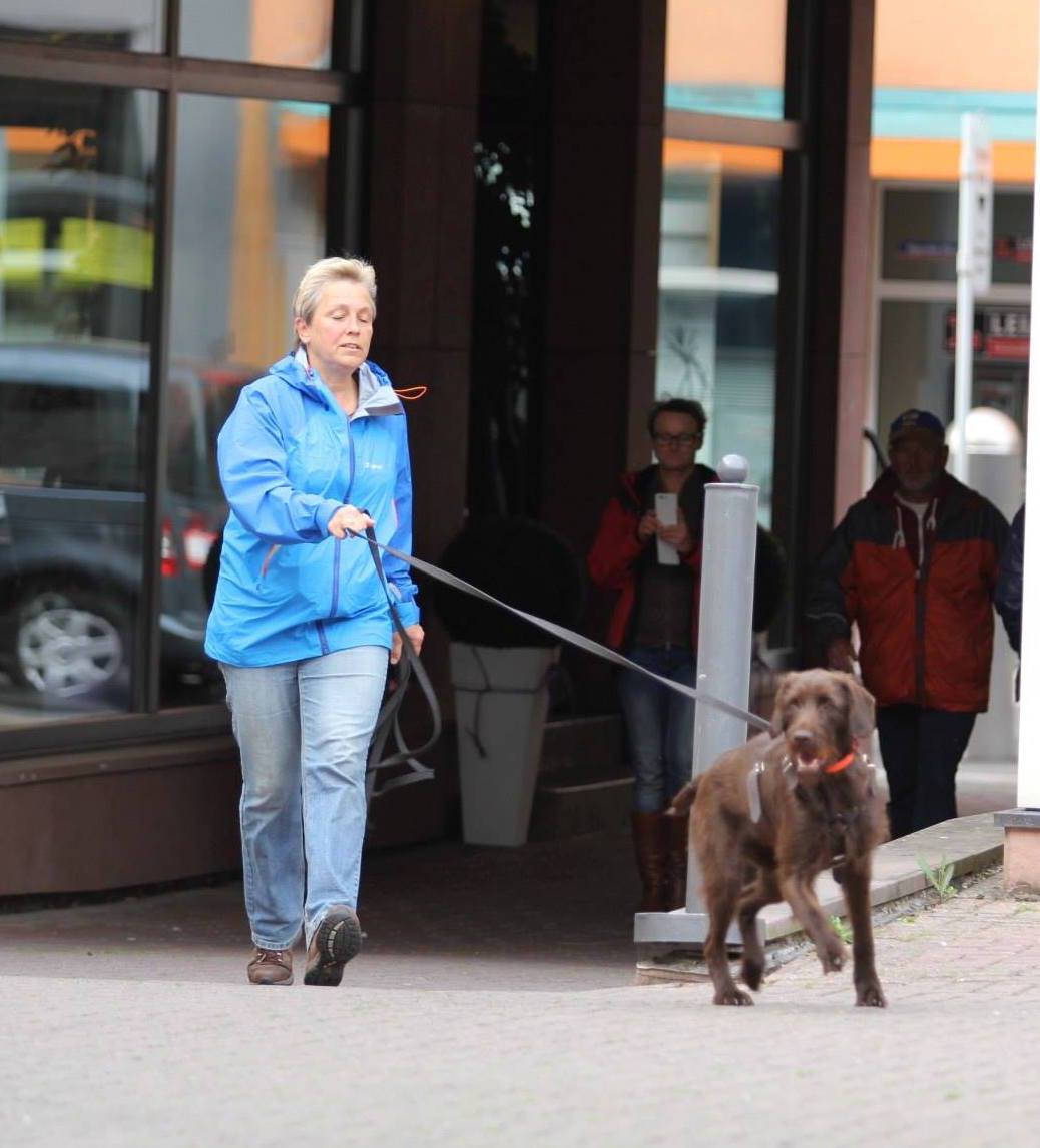 Hundeführerin arbeitet mit ihrem Personenspürhund an der langen Leine im Ortsgebiet